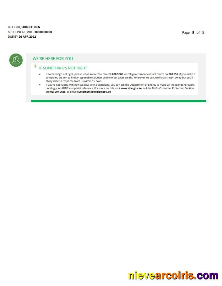 UAE Ajman Al Ain Distribution Co utility bill 5 pages 5